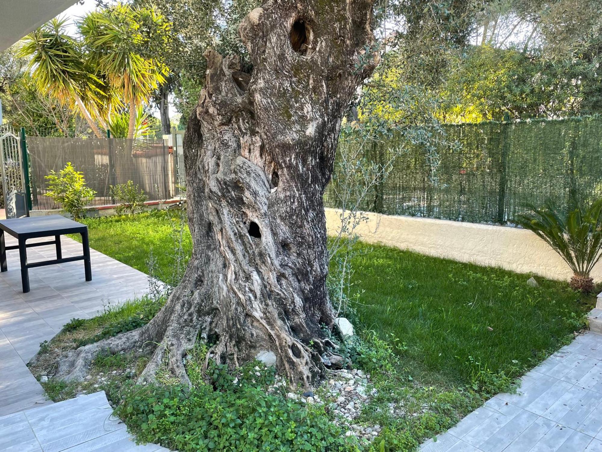 Joli Rez De Jardin 4 Pieces A Cagnes Sur Mer エクステリア 写真